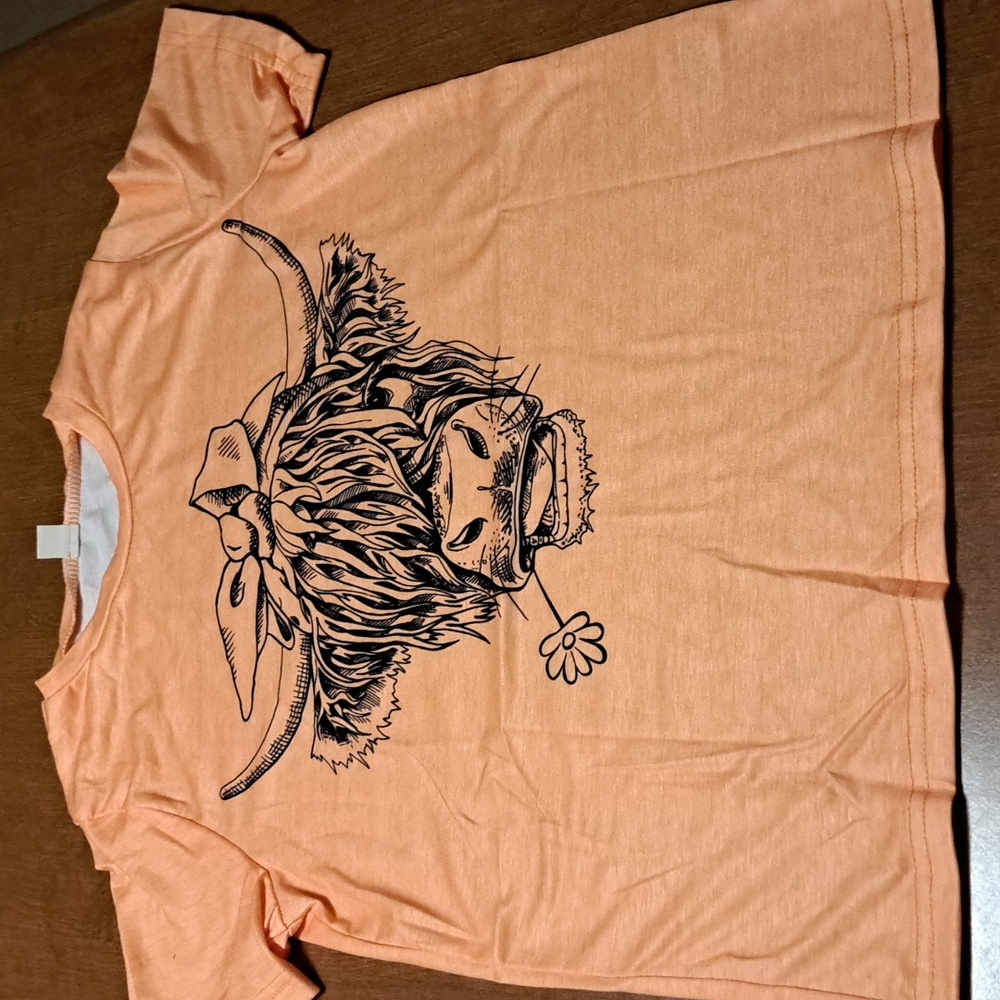 Highland cow kids unisex ptp 16"/ BUNDLE ONLY 2 OR MORE ITEMS
